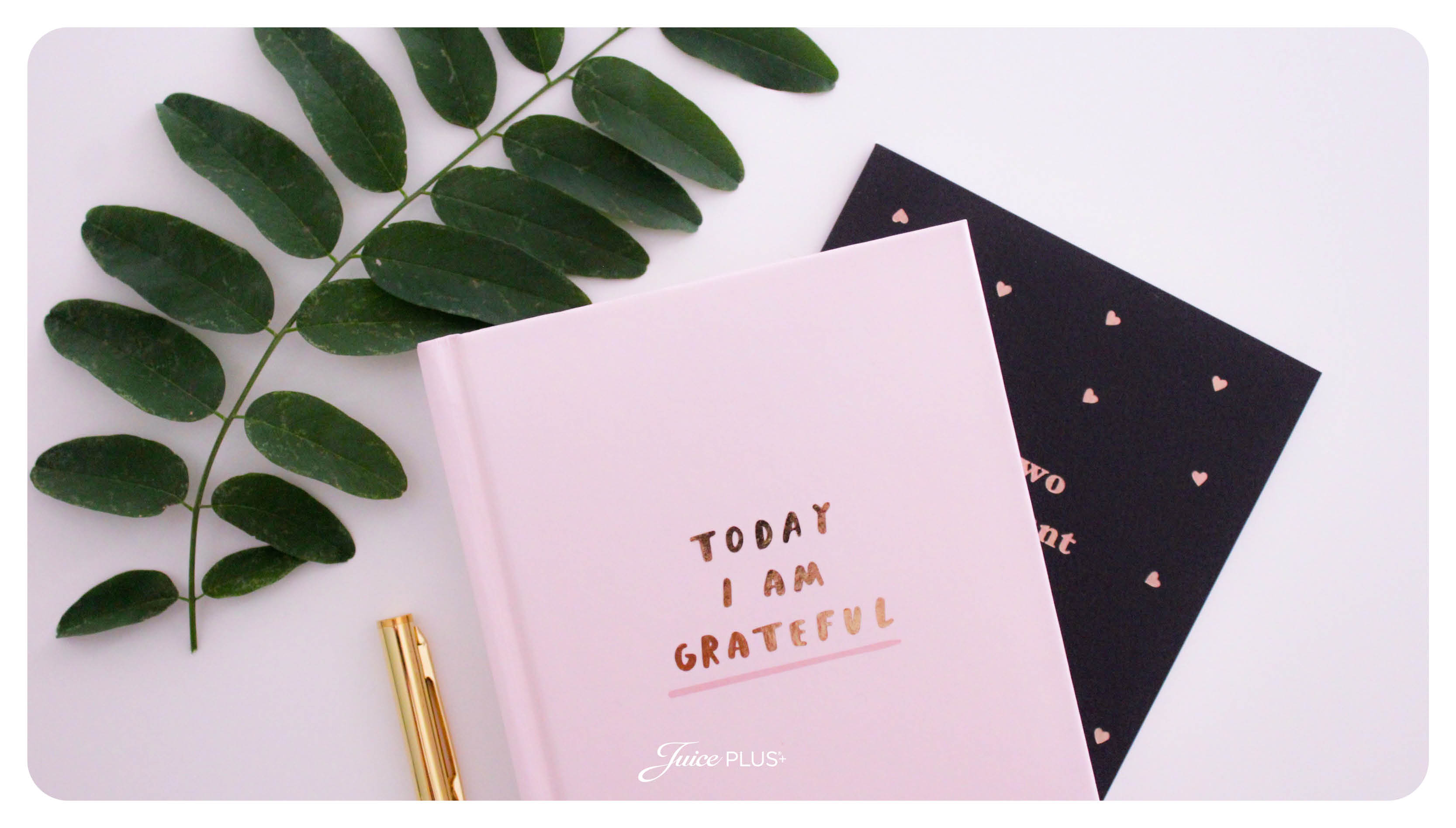 Tagebuch Dankbarkeit | Juice Plus+